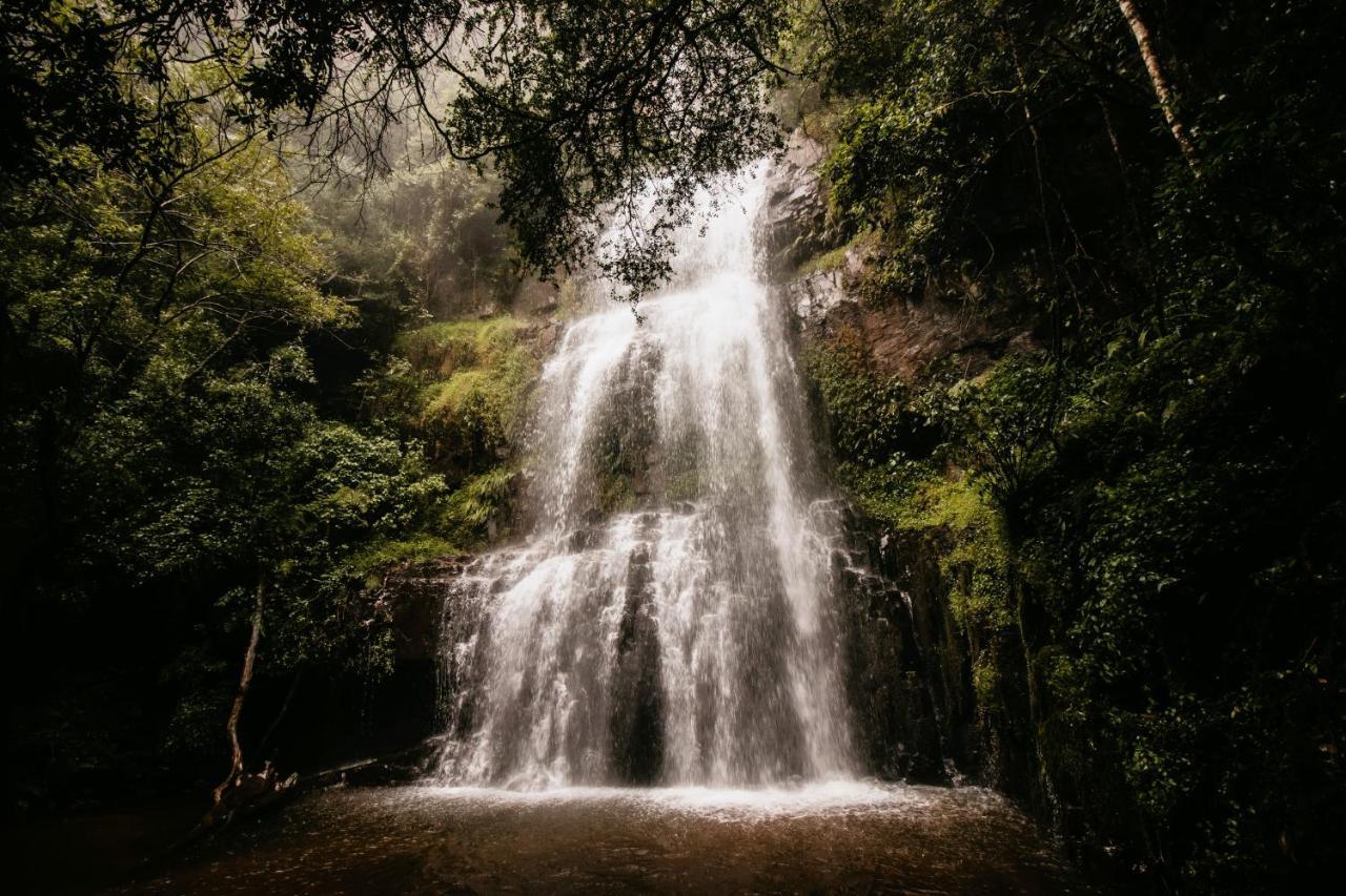 Mount Sheba Rainforest Hotel & Resort Pilgrimʼs Rest Buitenkant foto